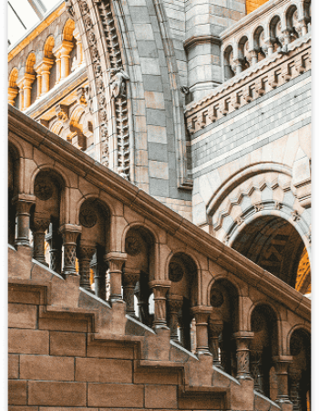 diane-picchiottino-CWS43nofJyQ-unsplash-1.png